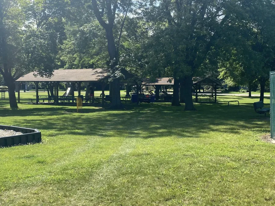 UAW Local 9699 Picnic