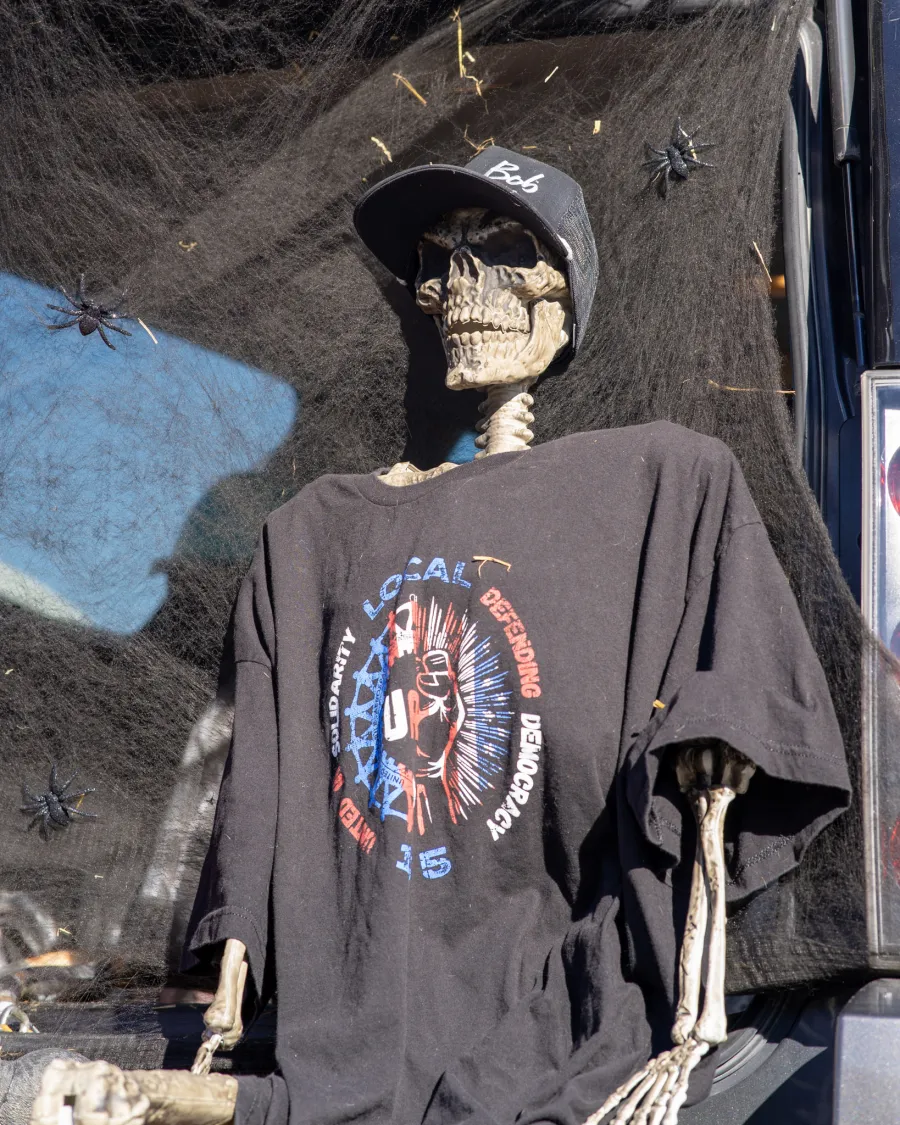 skeleton in union shirt